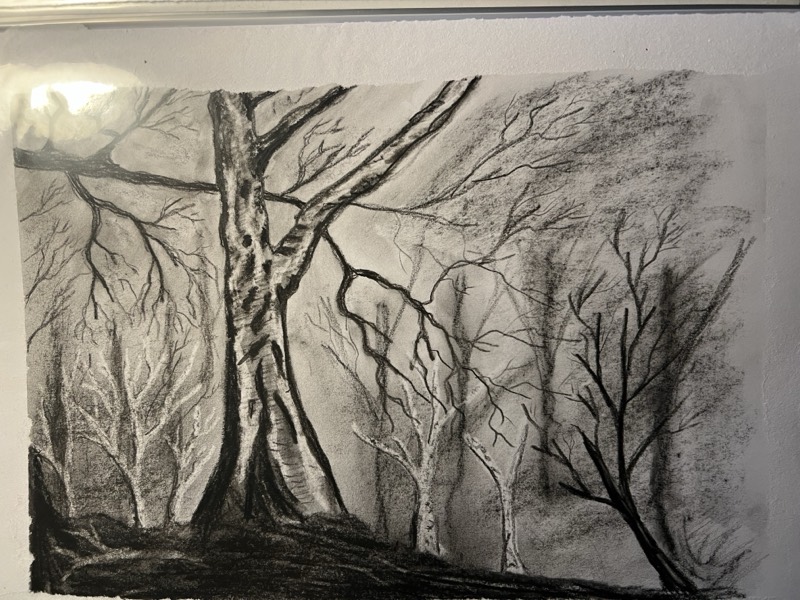 Skog